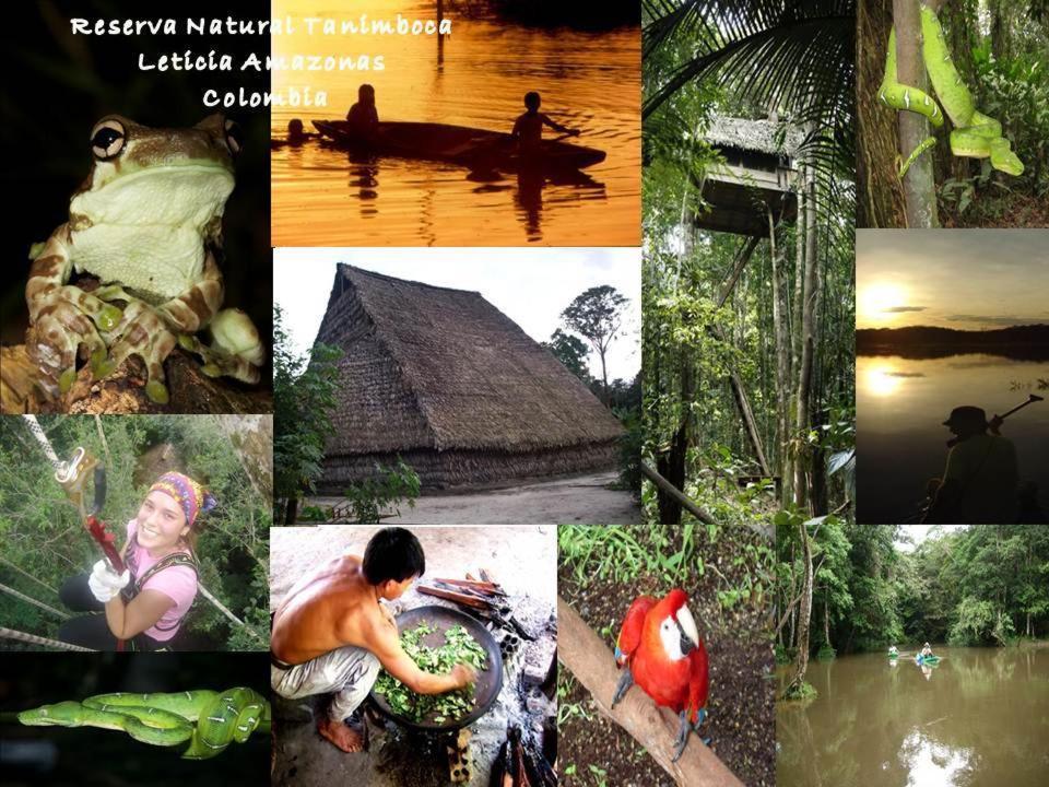 Reserva Natural Tanimboca Leticia Exterior foto