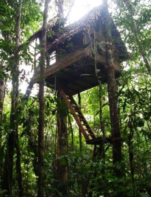 Reserva Natural Tanimboca Leticia Exterior foto
