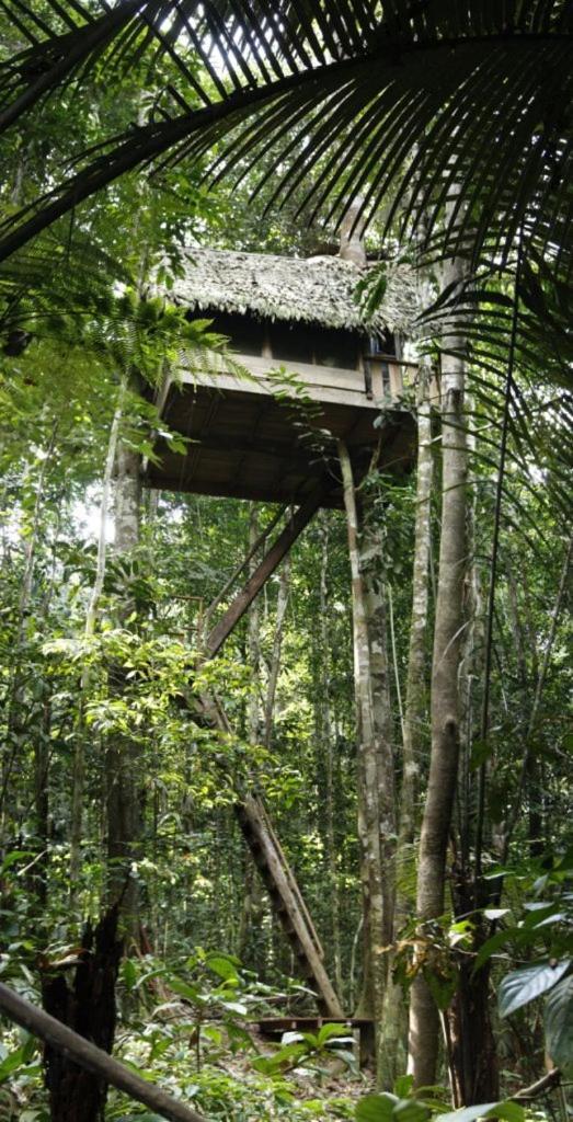Reserva Natural Tanimboca Leticia Exterior foto