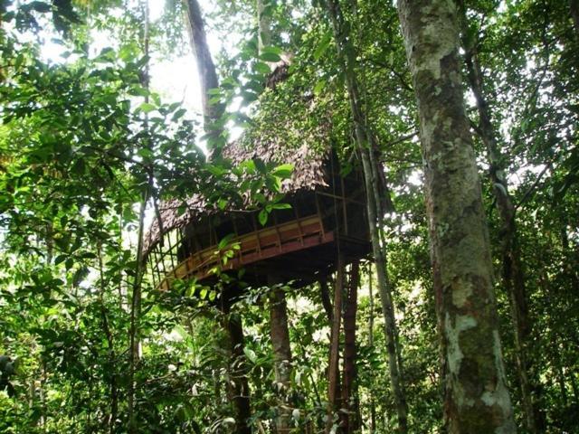 Reserva Natural Tanimboca Leticia Exterior foto