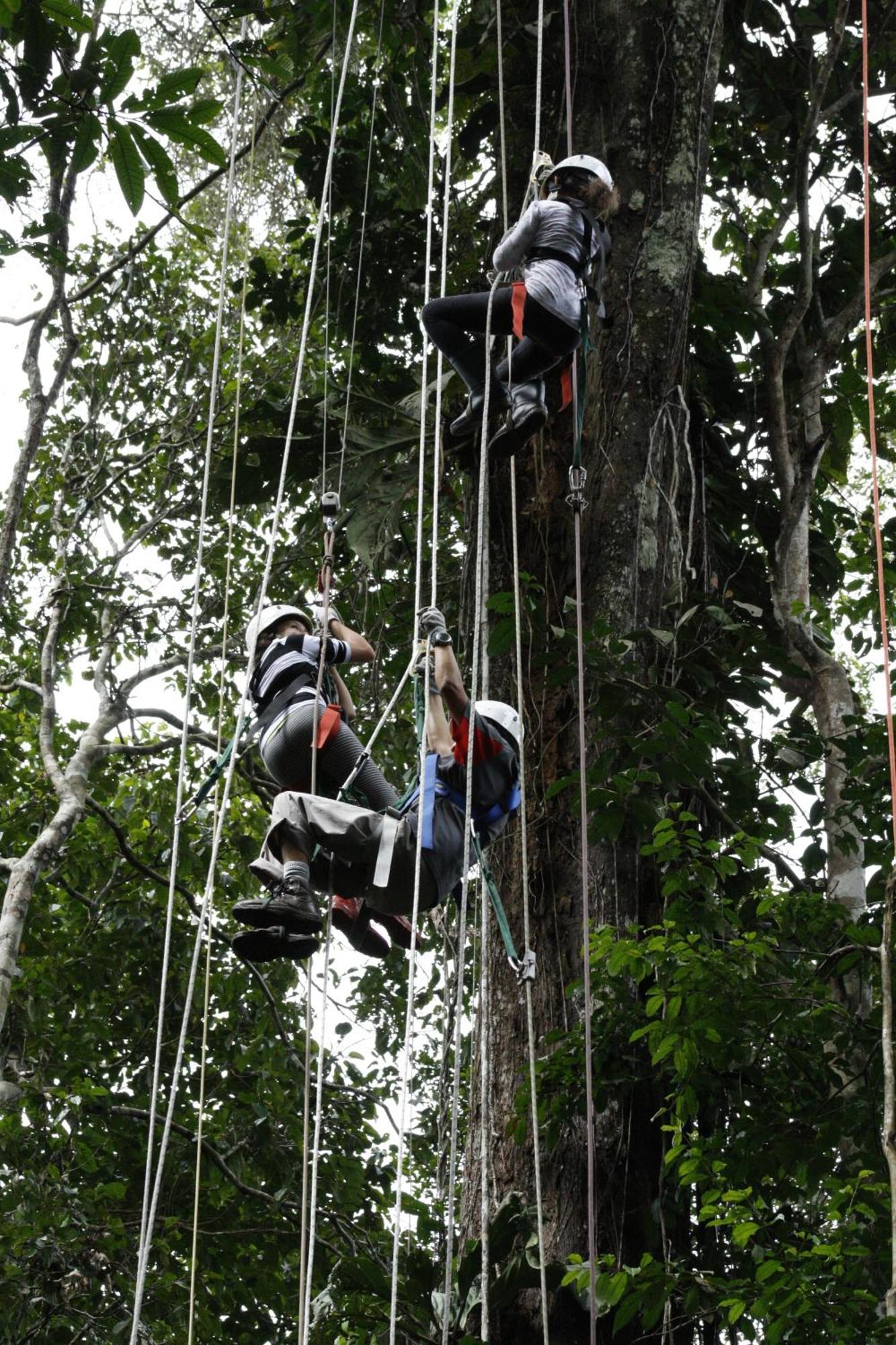 Reserva Natural Tanimboca Leticia Exterior foto