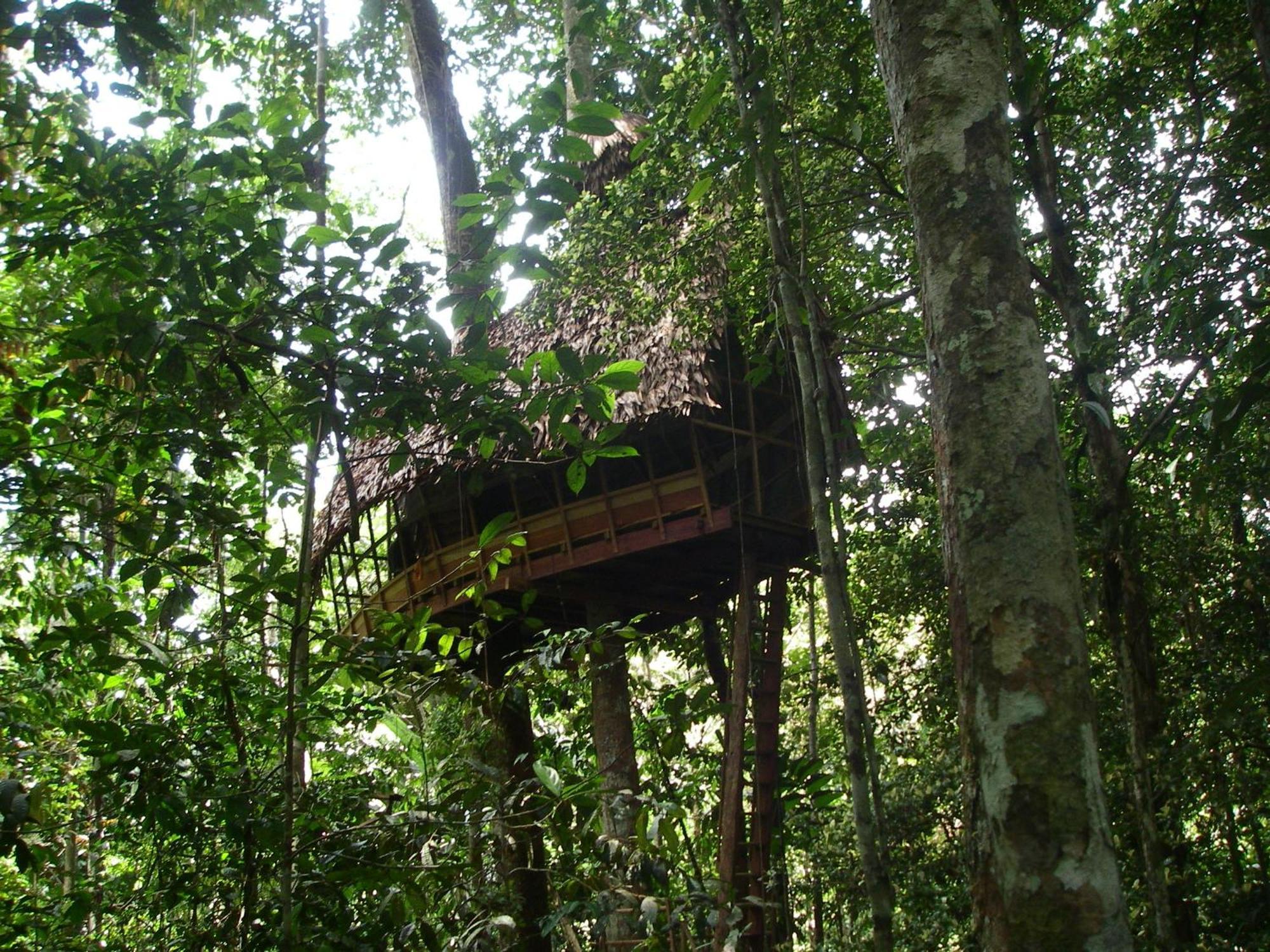 Reserva Natural Tanimboca Leticia Exterior foto