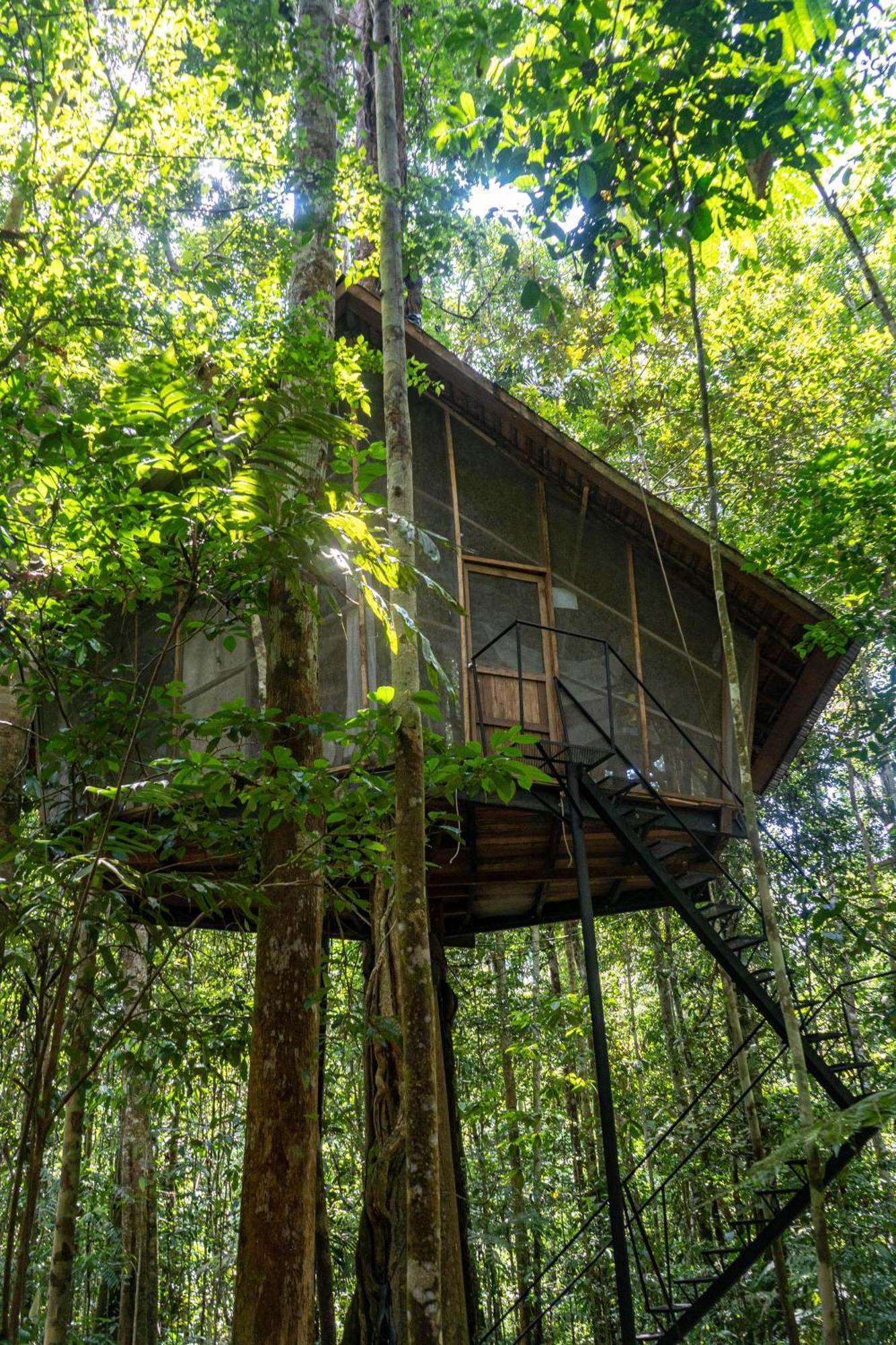 Reserva Natural Tanimboca Leticia Exterior foto