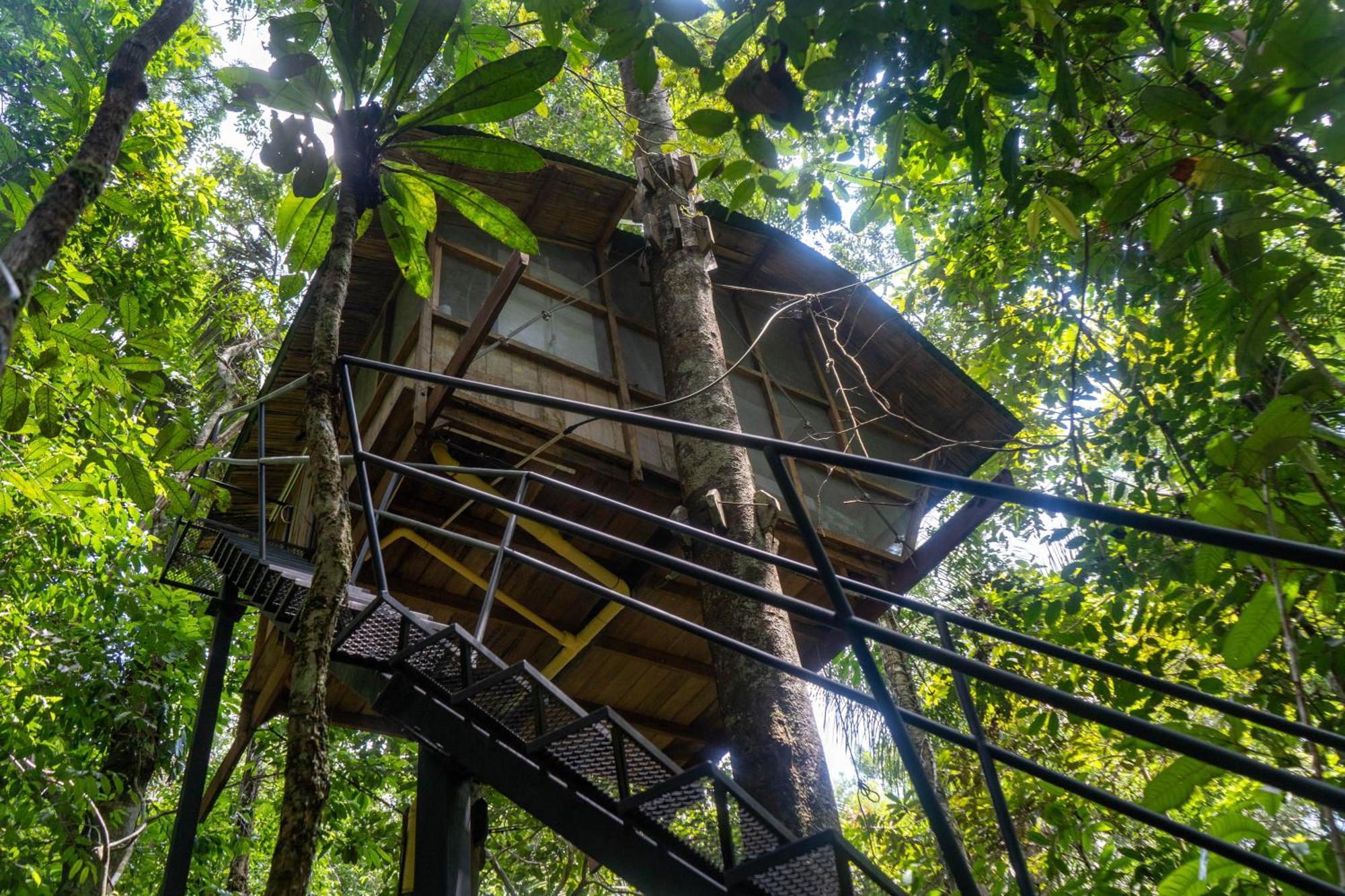 Reserva Natural Tanimboca Leticia Exterior foto