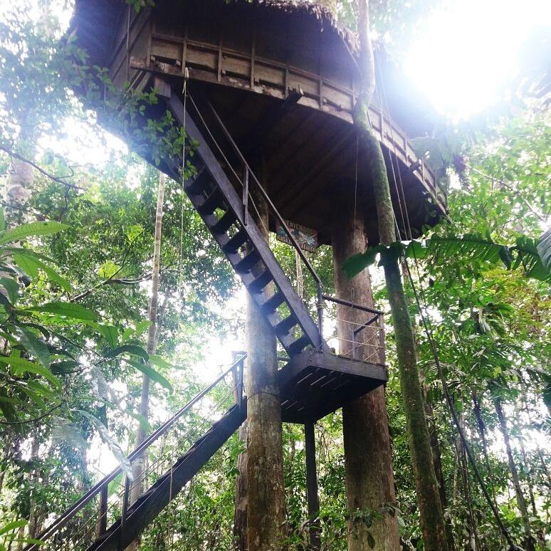 Reserva Natural Tanimboca Leticia Exterior foto